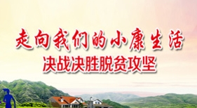 走向我們的小康生活