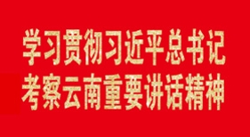 學(xué)習(xí)貫徹習(xí)近平總書記考察云南重要講話精神