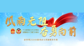 2020年全國兩會