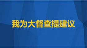 我為大督查提建議