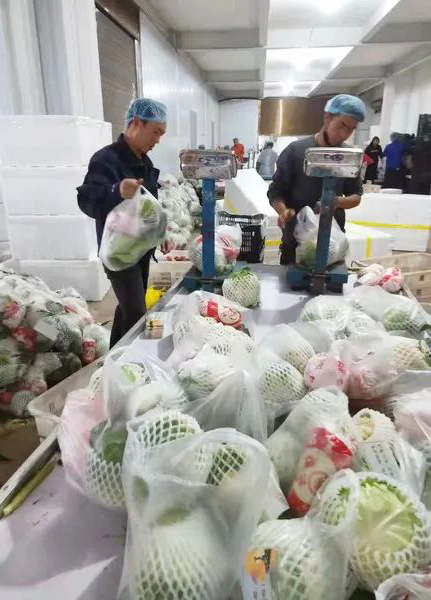通海高原農(nóng)產(chǎn)品有限公司按5公斤1袋包裝蔬菜發(fā)往上海。.jpg