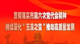 貫徹省委省政府玉溪現場辦公會精神