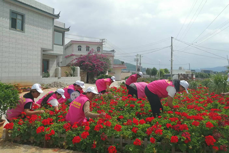巾幗志愿者帶頭打掃衛(wèi)生，美化綠化庭院及巷道。（江川區(qū)婦聯(lián)供圖）.jpg