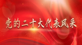 黨的二十大代表風(fēng)采