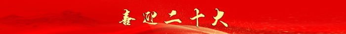 喜迎二十大欄目