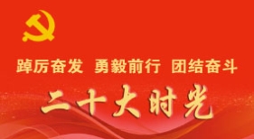 二十大時光