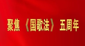 聚焦《國歌法》五周年