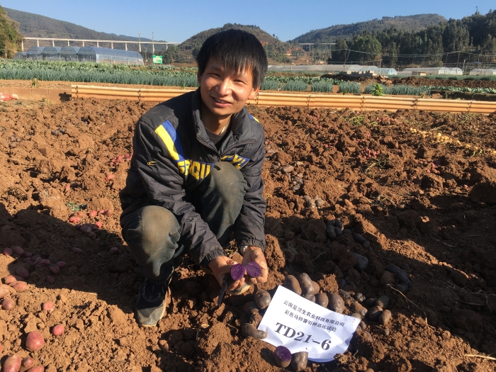 1月12日攝 (1)