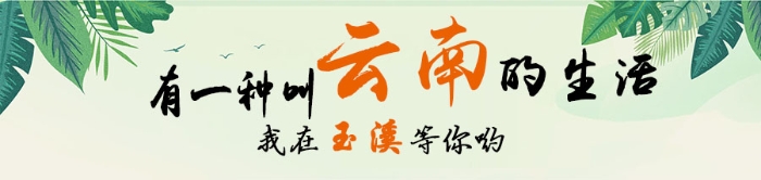 有一種叫云南的生活頁面頂圖