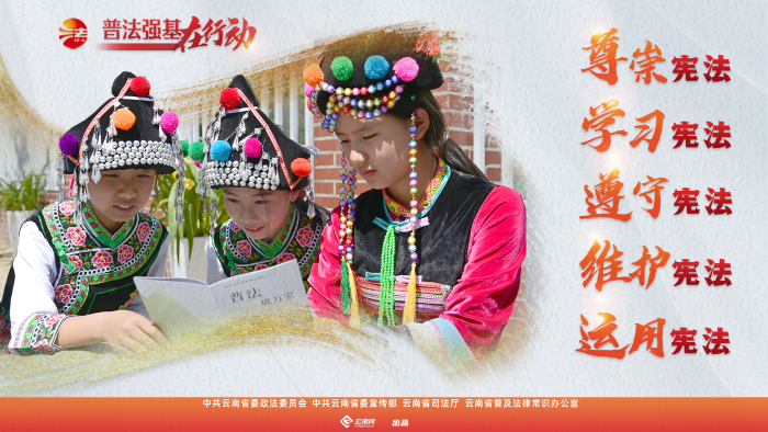 普法強(qiáng)基在行動(dòng)_尊崇憲法 學(xué)習(xí)憲法 遵守憲法 維護(hù)憲法 運(yùn)用憲法