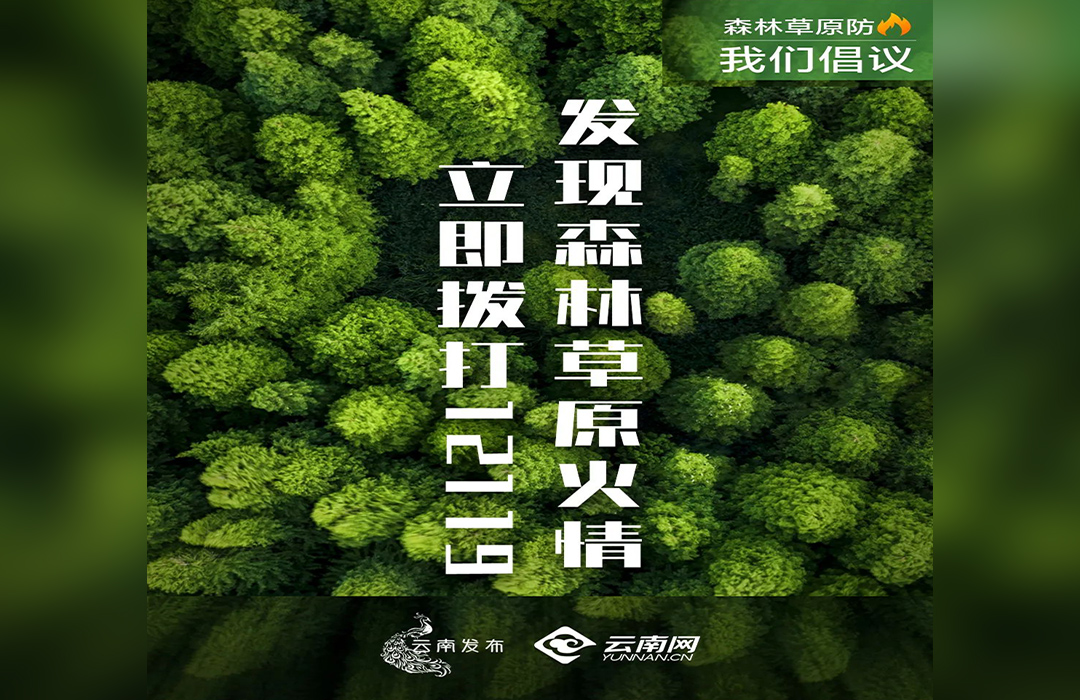 發(fā)現(xiàn)森林草原火情 立即撥打12119