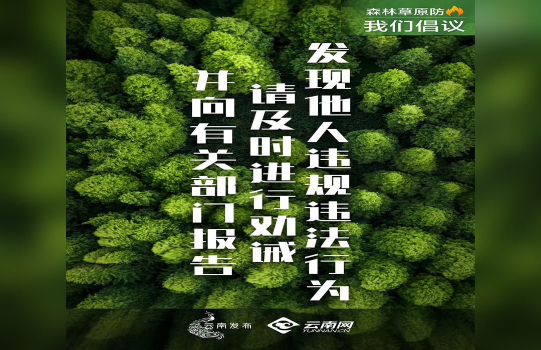 未經(jīng)批準(zhǔn)不擅自組織開(kāi)展入林團(tuán)體活動(dòng)