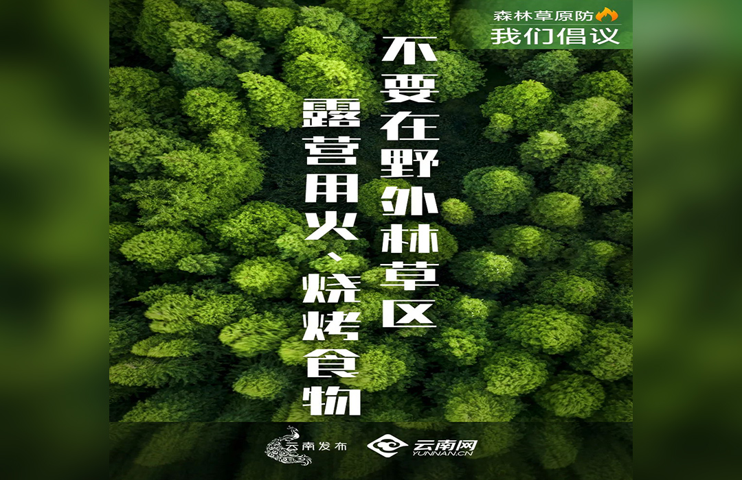 不要在林草區(qū)露營(yíng)用火、燒烤食物