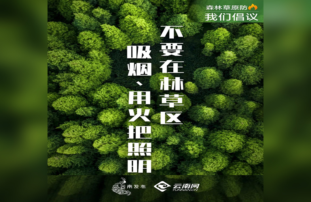 不要在林草區(qū)吸煙、用火把照明