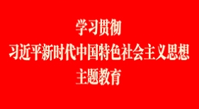 學(xué)習(xí)貫徹習(xí)近平新時代中國特色社會主義思想主題教育