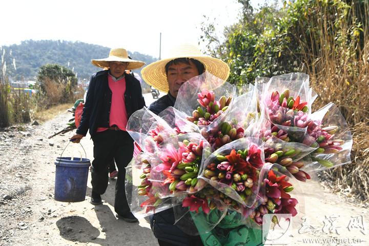 塔甸鎮(zhèn)小草海村，村民準(zhǔn)備到廣場出售自家種的鮮花。