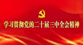 學(xué)習(xí)貫徹黨的二十屆三中全會(huì)精神