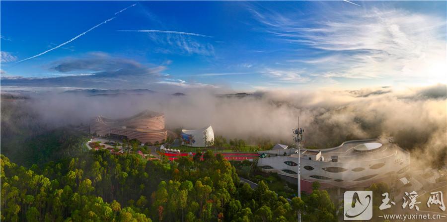 DJI_20240912104000_0089_D 拷貝