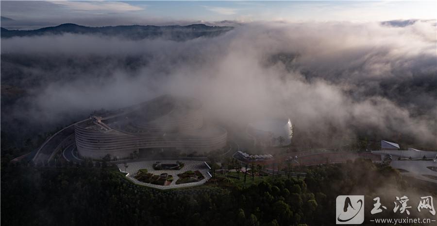 DJI_20240912104134_0092_D 拷貝