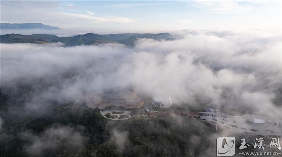 DJI_20240912104606_0097_D 拷貝