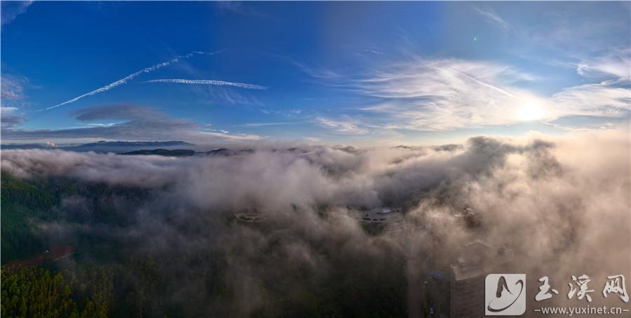 DJI_20240912104700_0100_D 拷貝