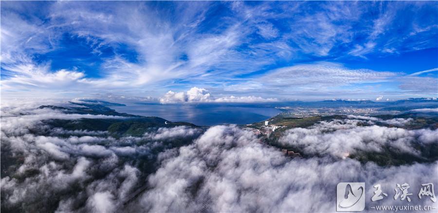 DJI_20240912110748_0131_D 拷貝