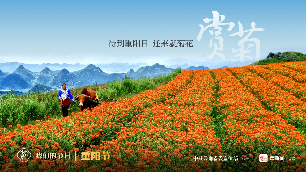 我們的節(jié)日·重陽