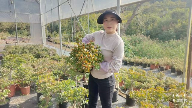 賈鵝在基地管護多肉植物。.jpg