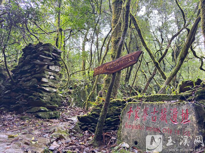 千家寨古城遺址。