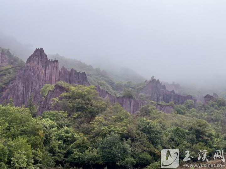 位于通海高大境內(nèi)的土林巍峨壯觀。