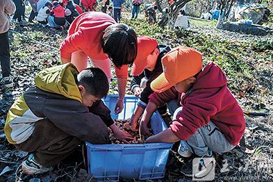把花生清洗干凈。