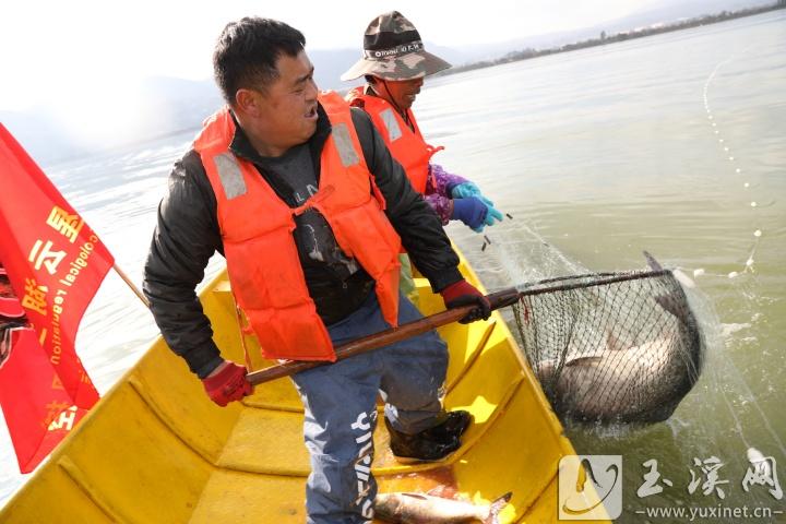 入湖捕魚。 記者 沈陽 攝