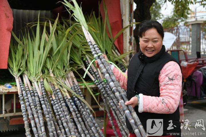 江川區(qū)九溪鎮(zhèn)，選購甘蔗的市民（攝于2025年1月28日，除夕）。
