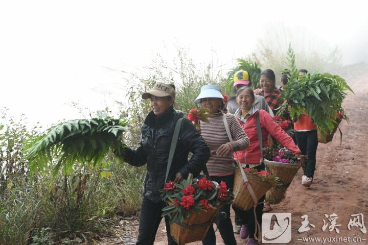 采花歸來的村民。