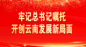 牢記總書記囑托開創(chuàng)云南發(fā)展新局面
