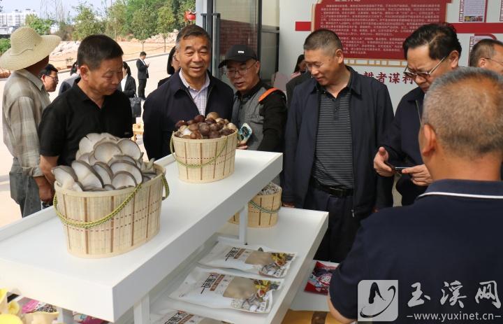 參觀企業(yè)產(chǎn)品展示區(qū)。