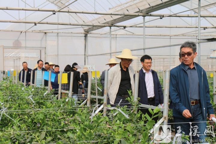 銀齡教師走基層。