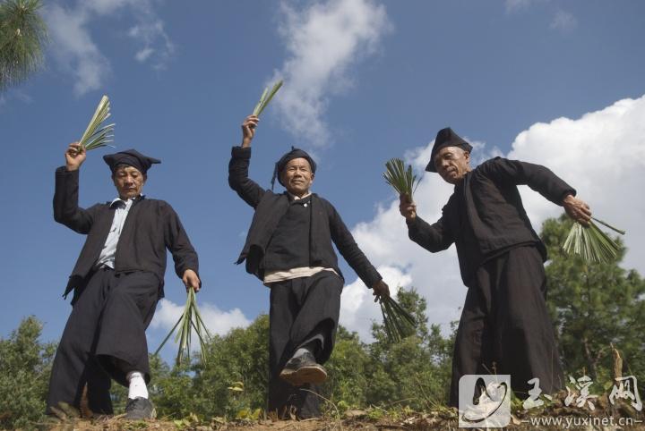 元江縣羊街鄉(xiāng)的民間藝人倪來(lái)黑（右）與白沙才（中）等跳起哈尼族棕扇舞。