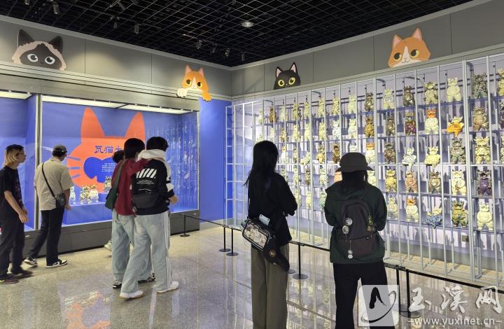 瓦貓作品吸引市民和游客的目光。