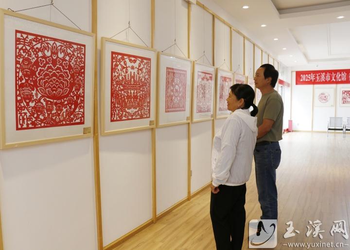 展覽吸引市民觀看。