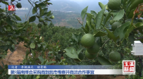 第9屆南博會采購商到玉溪市考察并商洽合作事宜