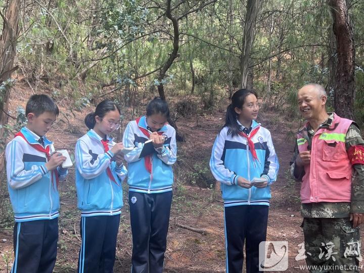 聽(tīng)護(hù)林員講解山林生態(tài)知識(shí)。