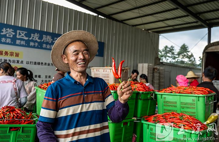 發(fā)現(xiàn)雙胞美人椒。