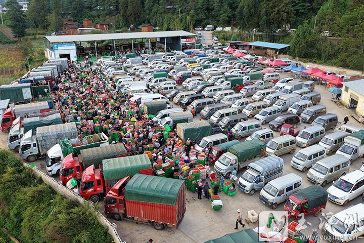 賣了辣椒，買了汽車。